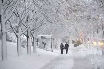 Quand tombe la neige