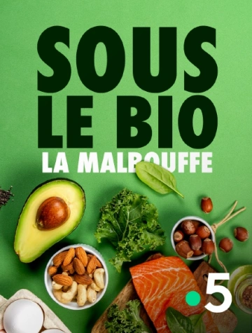 SOUS LE BIO, LA MALBOUFFE