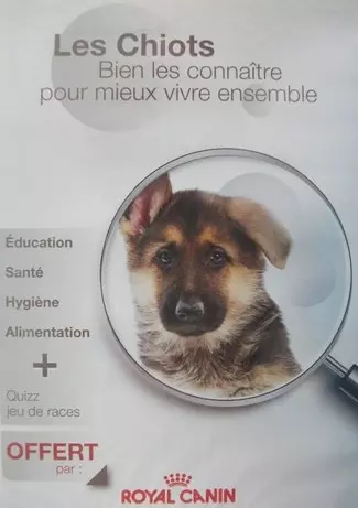 LES CHIOTS, BIEN les connaître pour mieux vivre ensemble