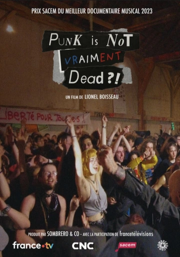 PUNK IS NOT VRAIMENT DEAD - REBELLES. L'ART DE BOUSCULER